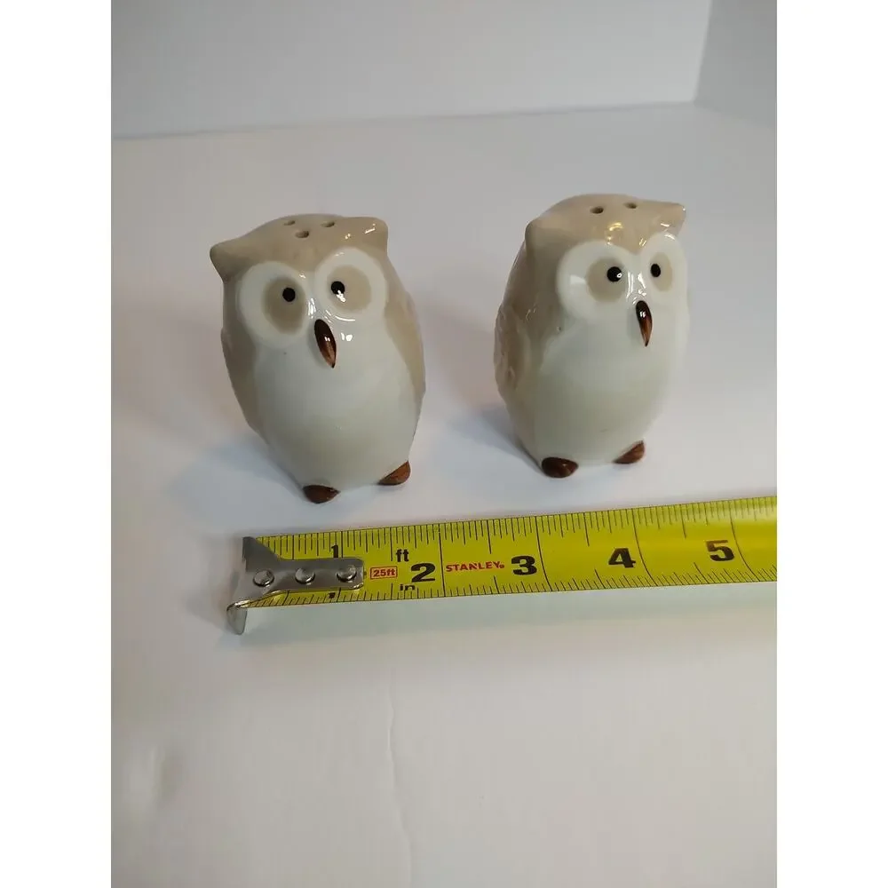 Pier 1 Owl Set Salt and Pepper Shaker